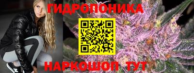 тгк Гусев