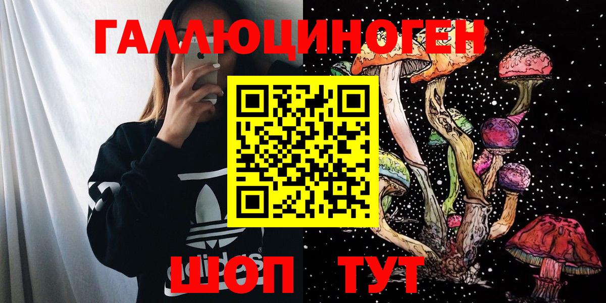 Псилоцибиновые грибы GOLDEN TEACHER  Галлюциногенные грибы GOLDEN TEACHER  Карабулак  Вход с VPN 